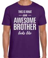 Awesome brother tekst t-shirt paars heren