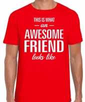 Awesome friend cadeau t-shirt rood heren
