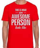 Awesome person tekst t-shirt rood heren
