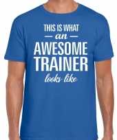Awesome trainer cadeau t-shirt blauw heren