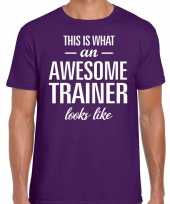 Awesome trainer cadeau t-shirt paars heren