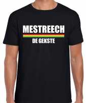 Carnaval mestreech gekste t-shirt zwart heren