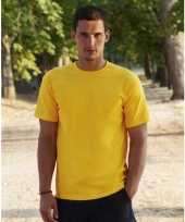 Fruit of the loom t shirts